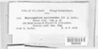 Image Associated With the Occurence